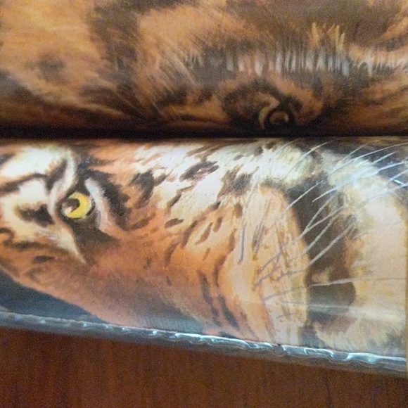 Wallpaper border - Picture 2 of 3